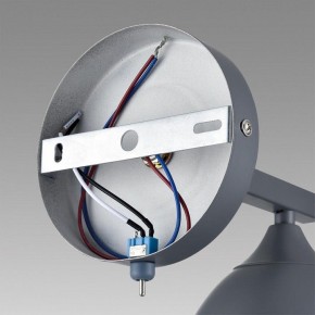 Бра Lumion Colange 8096/1W в Кировграде - kirovgrad.ok-mebel.com | фото 6