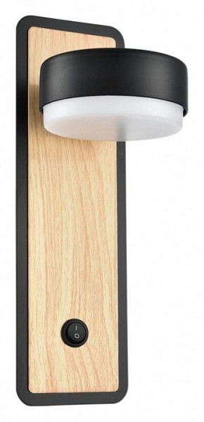 Бра Lumion LELAND 8264/1W в Кировграде - kirovgrad.ok-mebel.com | фото