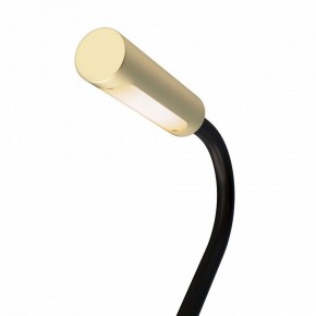 Бра Maytoni Stem C035WL-L3MG3K в Кировграде - kirovgrad.ok-mebel.com | фото 6