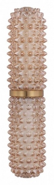 Бра ST-Luce SAGUARO SL6144.301.01 в Кировграде - kirovgrad.ok-mebel.com | фото 4