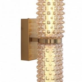 Бра ST-Luce SAGUARO SL6144.301.01 в Кировграде - kirovgrad.ok-mebel.com | фото 6