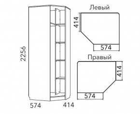 Детская Фанк Шкаф угловой Левый/Правый НМ 013.04-02 М в Кировграде - kirovgrad.ok-mebel.com | фото 3