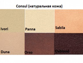Диван двухместный Алекто Consul натуральная кожа в Кировграде - kirovgrad.ok-mebel.com | фото 5