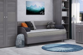 Диван-кровать 900 Парма Нео в Кировграде - kirovgrad.ok-mebel.com | фото 4