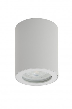 DK3007-WH Накладной светильник влагозащ., IP 44, 15 Вт, GU10, белый, алюминий в Кировграде - kirovgrad.ok-mebel.com | фото