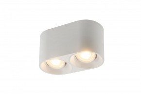 DK3036-WH Светильник накладной IP 20, 10 Вт, GU5.3, LED, белый, пластик в Кировграде - kirovgrad.ok-mebel.com | фото
