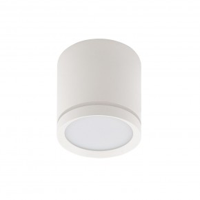 DK4013-WH Светильник накладной IP 20, 5 Вт, LED 4000, белый, алюминий/акрил в Кировграде - kirovgrad.ok-mebel.com | фото 2