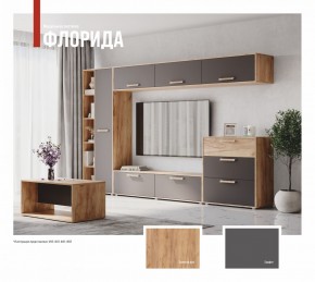 ФЛОРИДА Гостиная (модульная) дуб золотой/графит в Кировграде - kirovgrad.ok-mebel.com | фото