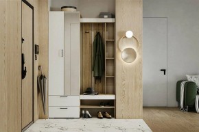 Гарнитур для прихожей Торонто в Кировграде - kirovgrad.ok-mebel.com | фото 5