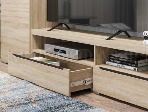 ЭКОЛЬ Гостиная Вариант №3 МДФ (Дуб сонома) в Кировграде - kirovgrad.ok-mebel.com | фото 2