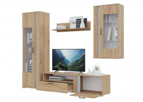 Гостиная Омега (Крафт золотой-Бетон) в Кировграде - kirovgrad.ok-mebel.com | фото 4