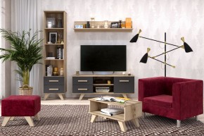 Гостиная Вега Скандинавия (комплект 5) в Кировграде - kirovgrad.ok-mebel.com | фото 2