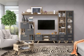 Гостиная Вега Скандинавия (комплект 6) в Кировграде - kirovgrad.ok-mebel.com | фото 2