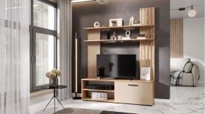 КАРОЛИНА Гостиная (дуб вотан/кашемир) в Кировграде - kirovgrad.ok-mebel.com | фото