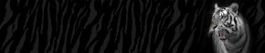 Кухонный фартук Фауна 055 МДФ матовый (3000) Fauna в Кировграде - kirovgrad.ok-mebel.com | фото