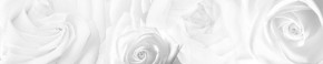 Кухонный фартук Цветы 217 МДФ матовый (3000) Flowers в Кировграде - kirovgrad.ok-mebel.com | фото 1