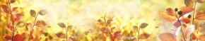 Кухонный фартук Цветы 318 МДФ матовый (3000) Flowers в Кировграде - kirovgrad.ok-mebel.com | фото 1