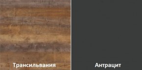Кухонный гарнитур угловой Трансильвания 2600х1600 мм (Стол. 38 мм) в Кировграде - kirovgrad.ok-mebel.com | фото 3