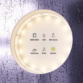 Лента светодиодная Maytoni Led strip 10102 в Кировграде - kirovgrad.ok-mebel.com | фото 2