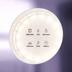 Лента светодиодная Maytoni Led strip 10103 в Кировграде - kirovgrad.ok-mebel.com | фото 2