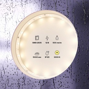 Лента светодиодная Maytoni Led strip 10105 в Кировграде - kirovgrad.ok-mebel.com | фото 2