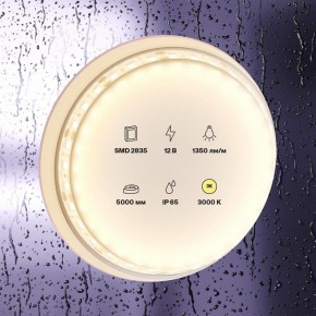Лента светодиодная Maytoni Led strip 10117 в Кировграде - kirovgrad.ok-mebel.com | фото 2