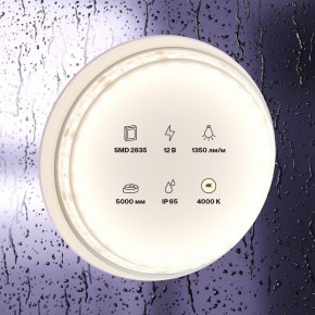 Лента светодиодная Maytoni Led strip 10118 в Кировграде - kirovgrad.ok-mebel.com | фото 2
