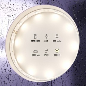 Лента светодиодная Maytoni Led strip 10164 в Кировграде - kirovgrad.ok-mebel.com | фото 2