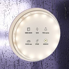 Лента светодиодная Maytoni Led strip 20005 в Кировграде - kirovgrad.ok-mebel.com | фото 2