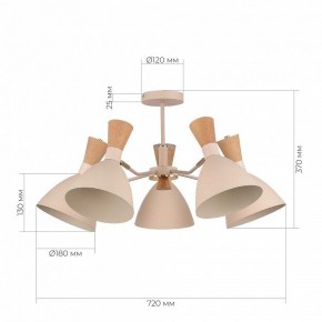 Люстра на штанге EVOLUCE VISTA SLE1256-502-05 в Кировграде - kirovgrad.ok-mebel.com | фото 8