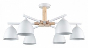 Люстра на штанге Lumion Colange 8095/6C в Кировграде - kirovgrad.ok-mebel.com | фото