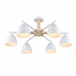 Люстра на штанге Lumion Colange 8095/6C в Кировграде - kirovgrad.ok-mebel.com | фото 3
