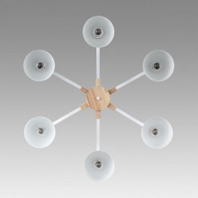 Люстра на штанге Lumion Colange 8095/6C в Кировграде - kirovgrad.ok-mebel.com | фото 4
