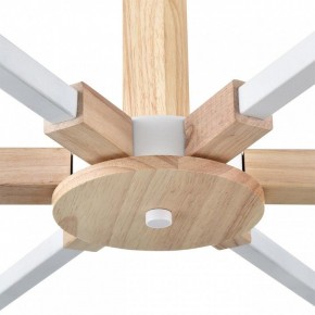 Люстра на штанге Lumion Colange 8095/6C в Кировграде - kirovgrad.ok-mebel.com | фото 7