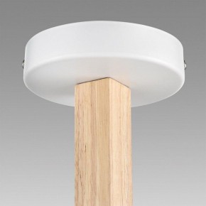 Люстра на штанге Lumion Colange 8095/6C в Кировграде - kirovgrad.ok-mebel.com | фото 8