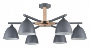 Люстра на штанге Lumion Colange 8096/6C в Кировграде - kirovgrad.ok-mebel.com | фото
