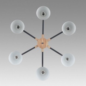 Люстра на штанге Lumion Colange 8096/6C в Кировграде - kirovgrad.ok-mebel.com | фото 4