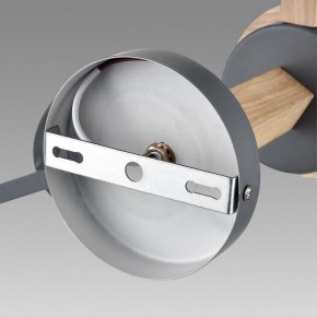 Люстра на штанге Lumion Colange 8096/6C в Кировграде - kirovgrad.ok-mebel.com | фото 6