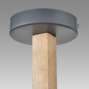 Люстра на штанге Lumion Colange 8096/6C в Кировграде - kirovgrad.ok-mebel.com | фото 9