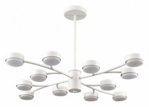 Люстра на штанге Lumion TORINA 8265/12 в Кировграде - kirovgrad.ok-mebel.com | фото