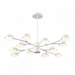 Люстра на штанге Lumion TORINA 8265/12 в Кировграде - kirovgrad.ok-mebel.com | фото 2