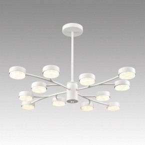 Люстра на штанге Lumion TORINA 8265/12 в Кировграде - kirovgrad.ok-mebel.com | фото 3