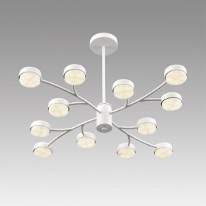 Люстра на штанге Lumion TORINA 8265/12 в Кировграде - kirovgrad.ok-mebel.com | фото 5