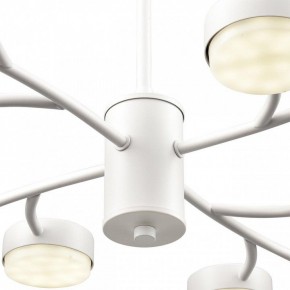 Люстра на штанге Lumion TORINA 8265/12 в Кировграде - kirovgrad.ok-mebel.com | фото 8
