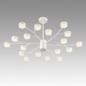 Люстра на штанге Lumion TORINA 8265/18 в Кировграде - kirovgrad.ok-mebel.com | фото 5