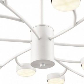 Люстра на штанге Lumion TORINA 8265/18 в Кировграде - kirovgrad.ok-mebel.com | фото 8