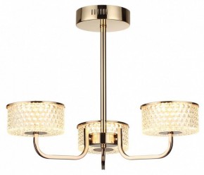 Люстра на штанге Lumion Venice 6579/40CL в Кировграде - kirovgrad.ok-mebel.com | фото 5