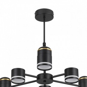 Люстра на штанге Lumion Virsava 8234/6C в Кировграде - kirovgrad.ok-mebel.com | фото 5