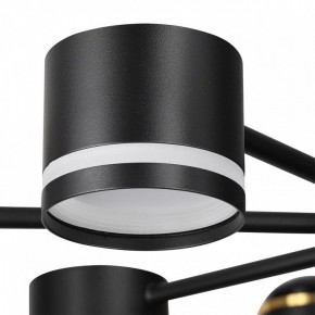 Люстра на штанге Lumion Virsava 8234/8C в Кировграде - kirovgrad.ok-mebel.com | фото 8