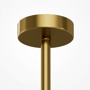 Люстра на штанге Maytoni Museo MOD436PL-05BS в Кировграде - kirovgrad.ok-mebel.com | фото 6